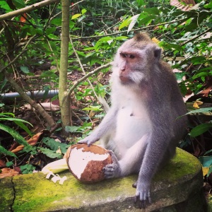 Monkey Forest Ubud Bali LisaDeviAdventures